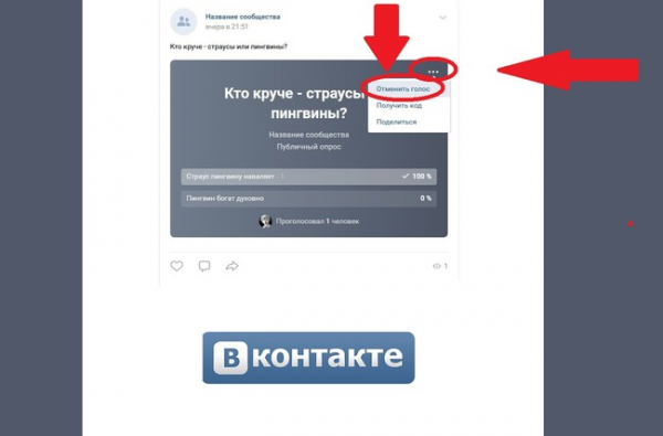 Как удалить свой голос в опросе VK