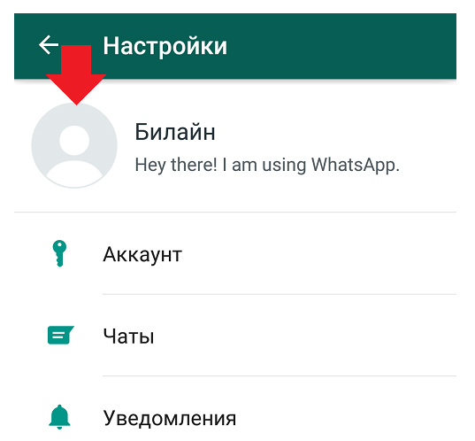 Что я должен указать в своих данных WhatsApp?