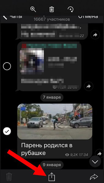 Как сохранить видео в Telegram?